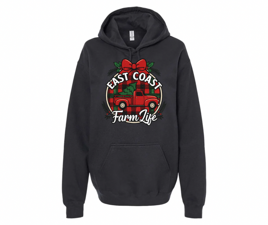 Christmas 2025 Hoodie